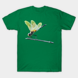 Dragonfly on a branch T-Shirt